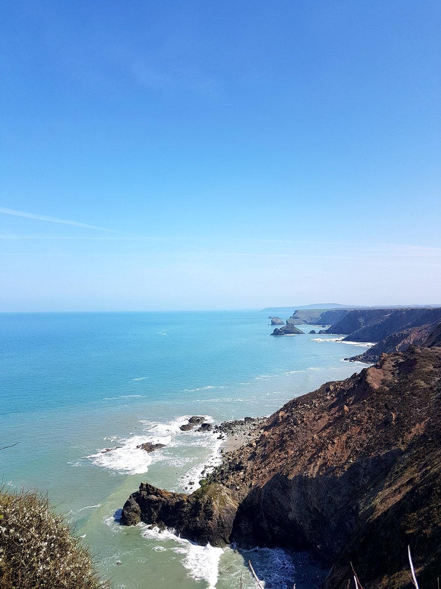 Emma Paull tweet media