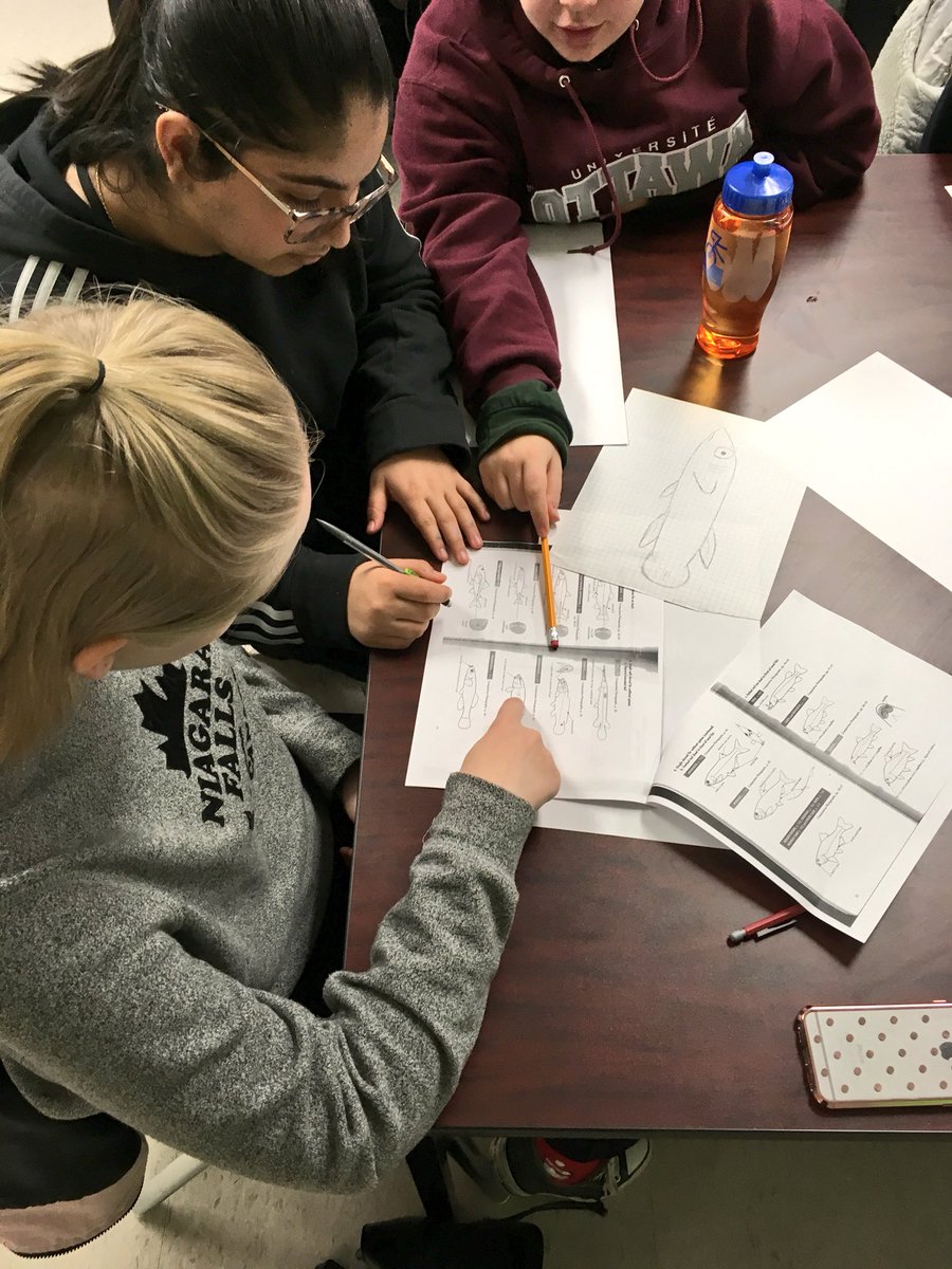 bucknleaf's tweet image. #hands-on #learning about #stream assessment and identifying #fish with Pete @ofah in advance of our #Atlantic #salmon release in the #Humber River @OntarioStreams
