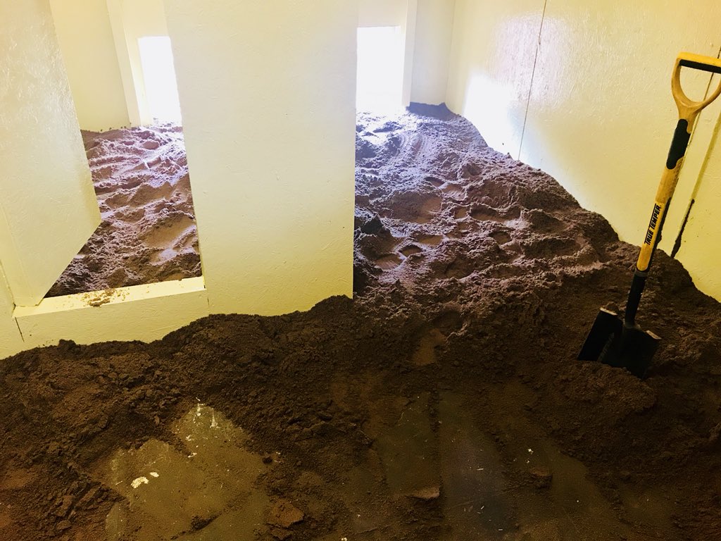 Fife_Zoo's tweet image. We’ve changed our mind. Scrapped the beach idea and made some major progress with our new meerkat house and exhibit!

#smellslikehardwork #justkeepdigging
