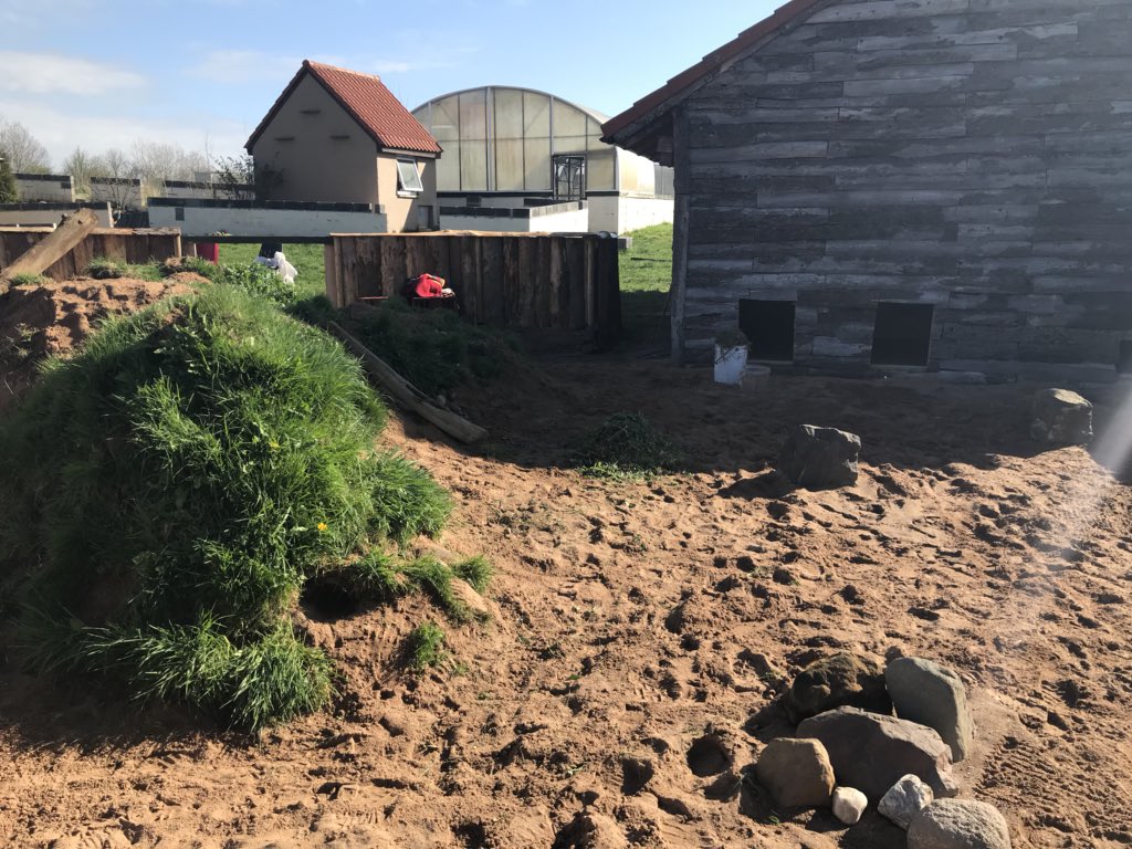 Fife_Zoo's tweet image. We’ve changed our mind. Scrapped the beach idea and made some major progress with our new meerkat house and exhibit!

#smellslikehardwork #justkeepdigging