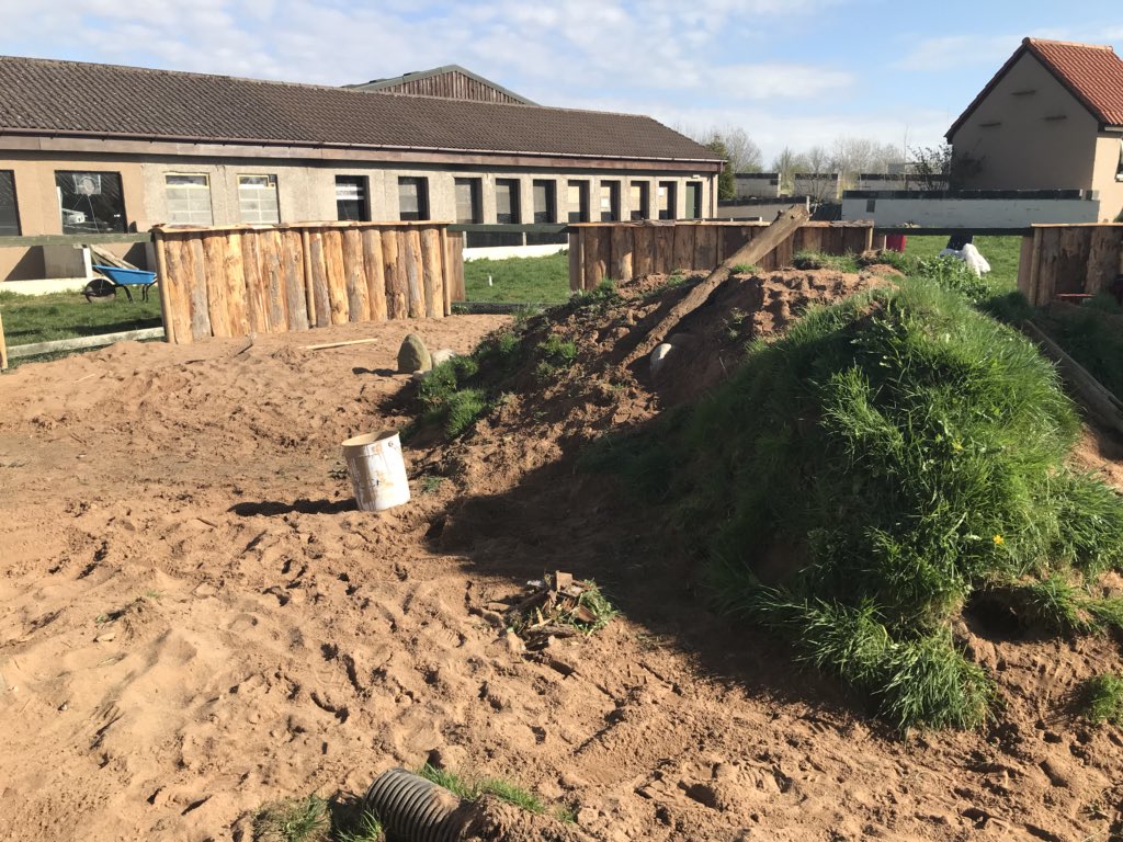 Fife_Zoo's tweet image. We’ve changed our mind. Scrapped the beach idea and made some major progress with our new meerkat house and exhibit!

#smellslikehardwork #justkeepdigging