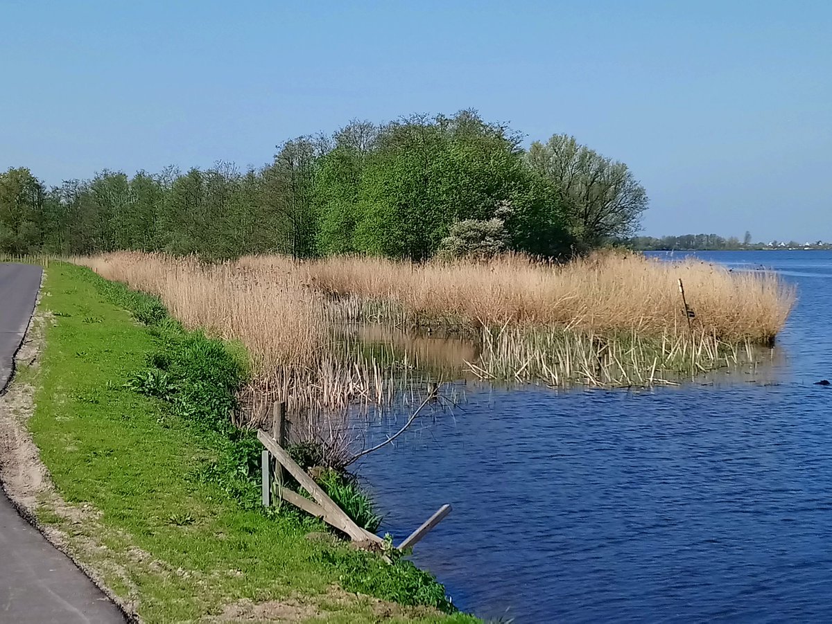 De Hemmen zuidoever van de Braassemermeer waardevol stukje Natuurnetwerk. #Woubrugge #KaagEnBraassem