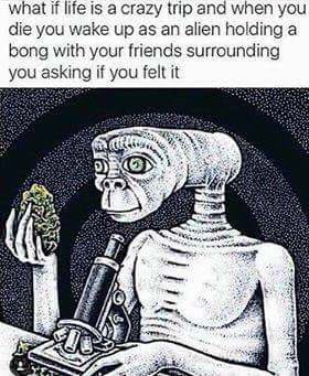 mary jane (@maryjane) on Twitter photo 