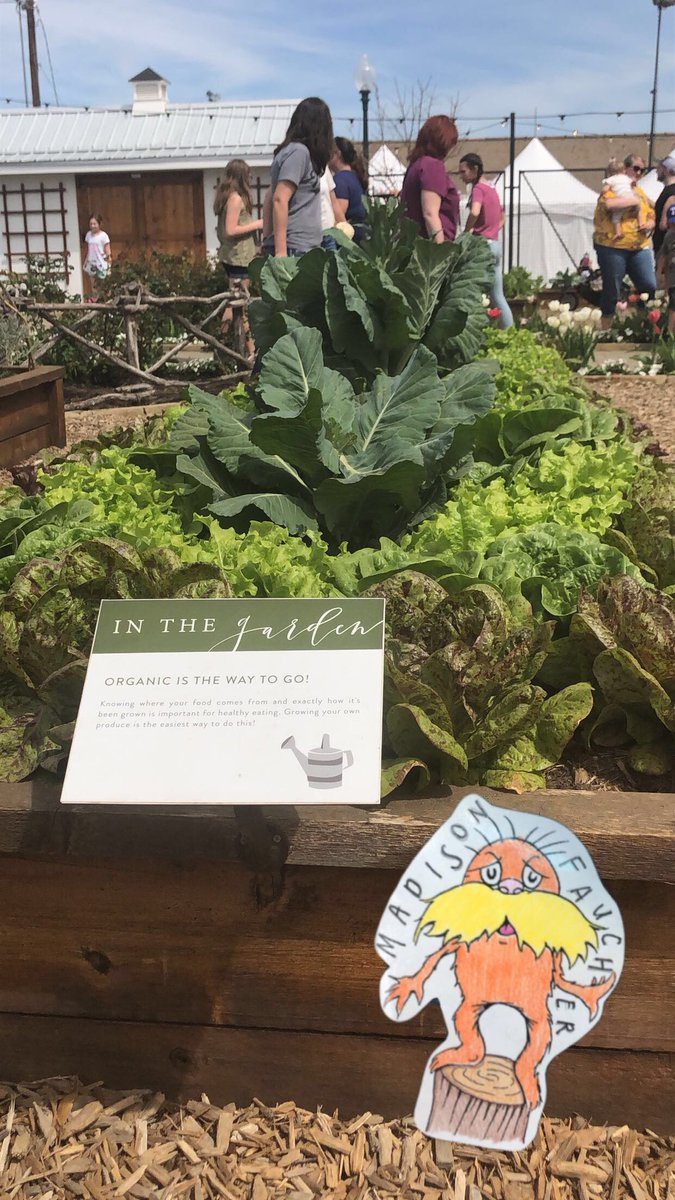madison_faucher's tweet photo. #APESWiser the lorax noticed chip &amp; joanna like to grow their own vegetables, which means less pesticides that could go into the environment @JamieNWiser https://t.co/jicw1lxPfq
