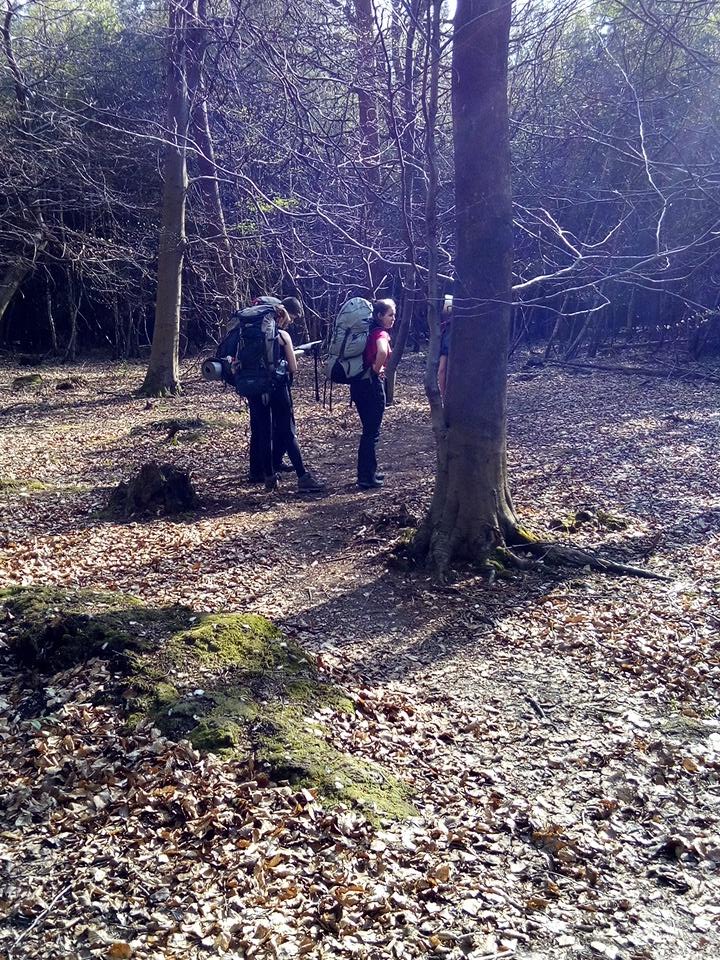 Navigation training in Kings Wood Challock.