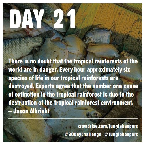 Modoyogapdx's tweet image. 3 weeks in! #30daychallenge #modoyoga #mokshayoga #modoyogaportland