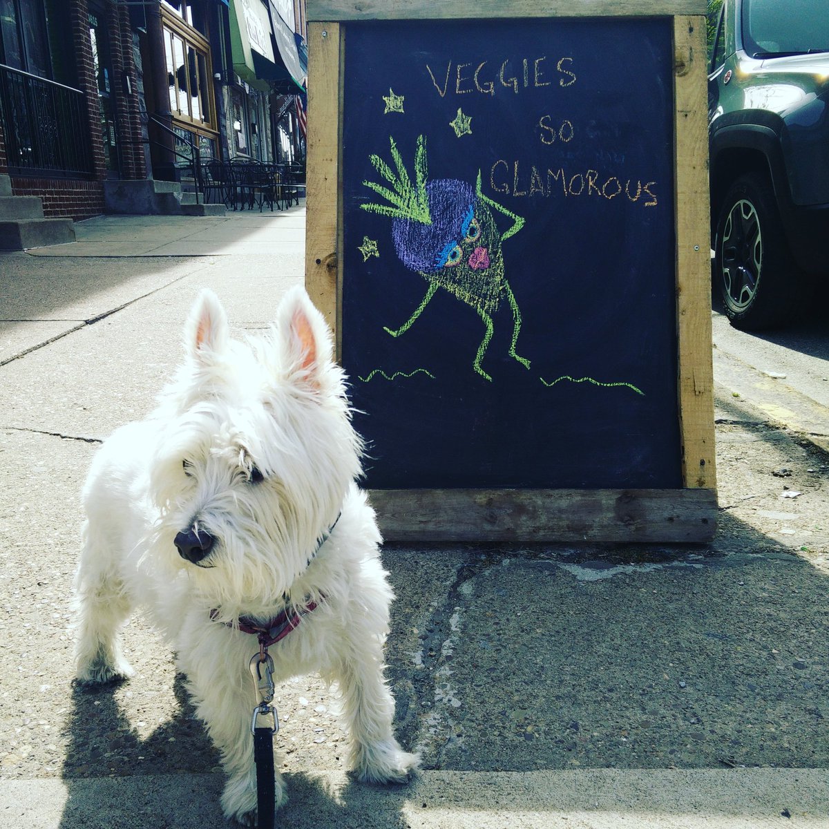 Veggies are so glamorous and so am I!!! 🥕 🍆 🥦 😎 @BitterEndsPGH #napoleonthewestie #westitude #westie #pittsburghdog #pittsburghfoodie #saturdaymorning #brunch