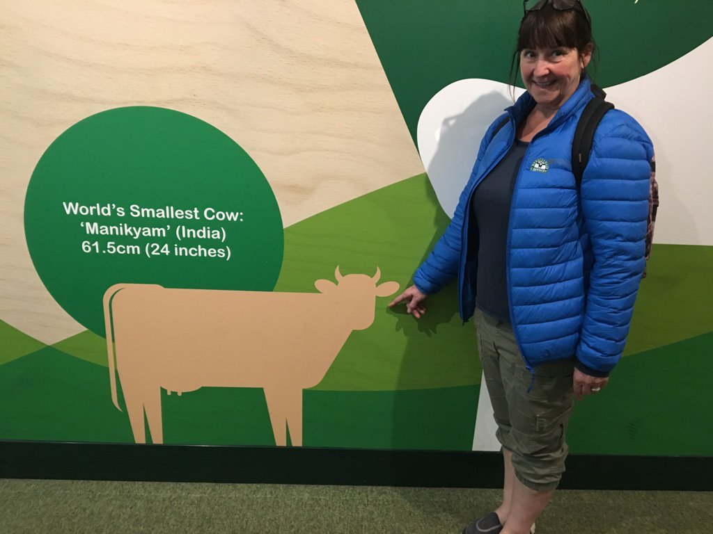 PVG Farm Team tweet media