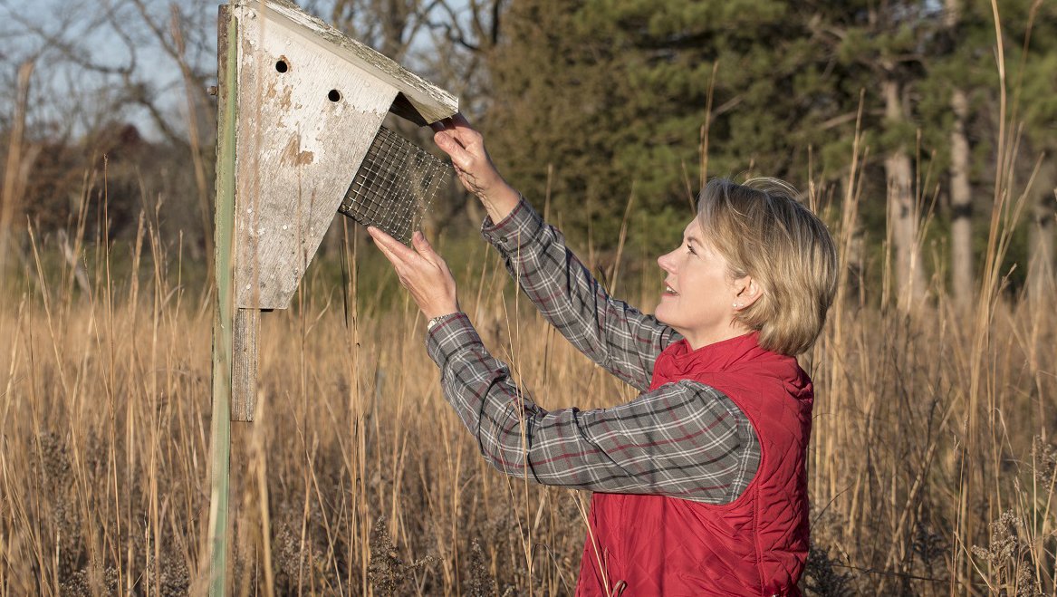 mndnr's tweet image. Looking to volunteer outdoors this spring? We have lots of great opportunities for you. Make bluebird houses, conduct woodpecker surveys and more. mndnr.gov/volunteering #NationalVolunteerMonth
