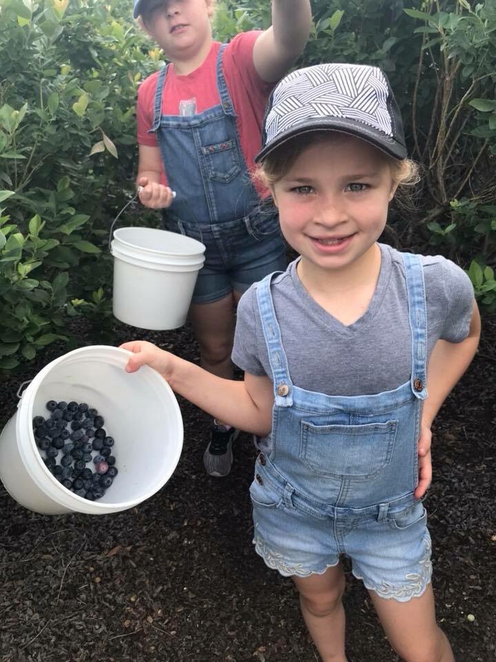 KeelandCurley's tweet photo. We are loving your family photos on our farm this morning! Thank you for joining us for #blueberryfestival2018! Make sure to tag us in your posts! 

#plantcity #florida #visitflorida #blueberries #tampabay #tampa #events #food https://t.co/THVMxyUGMR