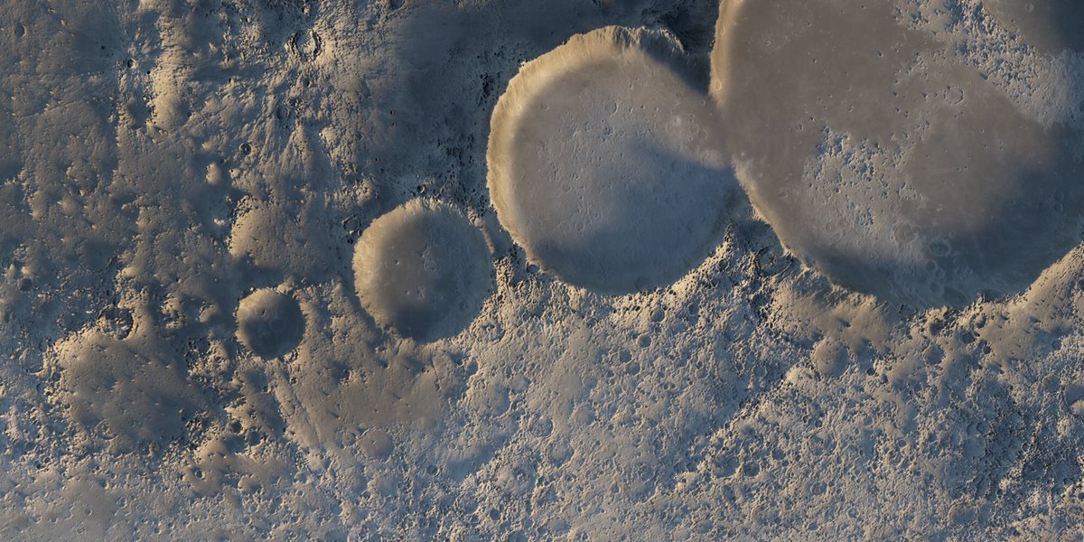 BryanTheColeman's tweet image. Macro Craters 01 - Moon

#displacementMaps #moon #craters #C4DtoA #c4d @maxon3d @AdobeAE