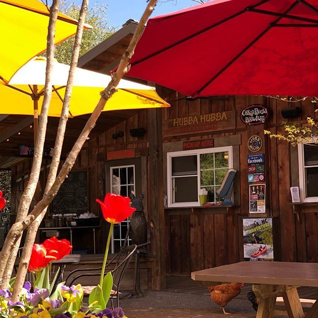 KelleyinCola's tweet photo. Beautiful day and delicious food! #FlatrockNC https://t.co/a1glSp0BYP https://t.co/8cJzK0ezs2