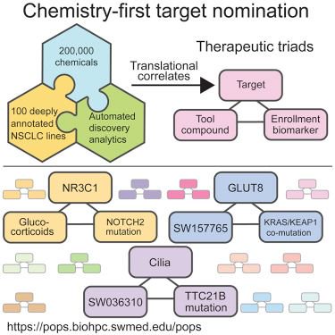 mmw_lmw's tweet photo. #PersonalizedMedicine | A #ChemistryFirst Approach for identifying druggable targets in LungCancer | MichaelWhite @UTSWNews @cellcellcp https://t.co/7N4nZ0HPhw https://t.co/5wodvd9FZW