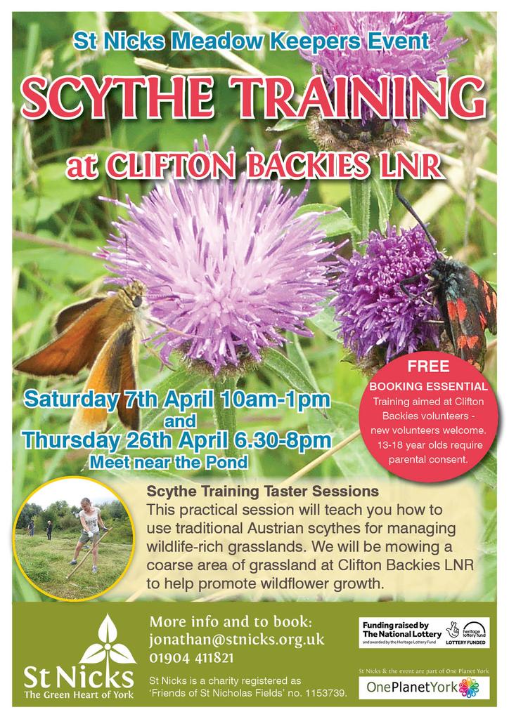 Clifton Backies tweet media