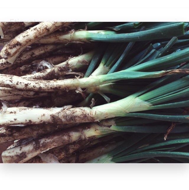 mrandmslemon's tweet photo. Primer día de playa de la primavera y (probablemente) última calçotada de la temporada.

🍋#aprendiendoadisfrutardelaspequeñascosas #calçotada #calçots #springtime https://t.co/bFUGwPlcME