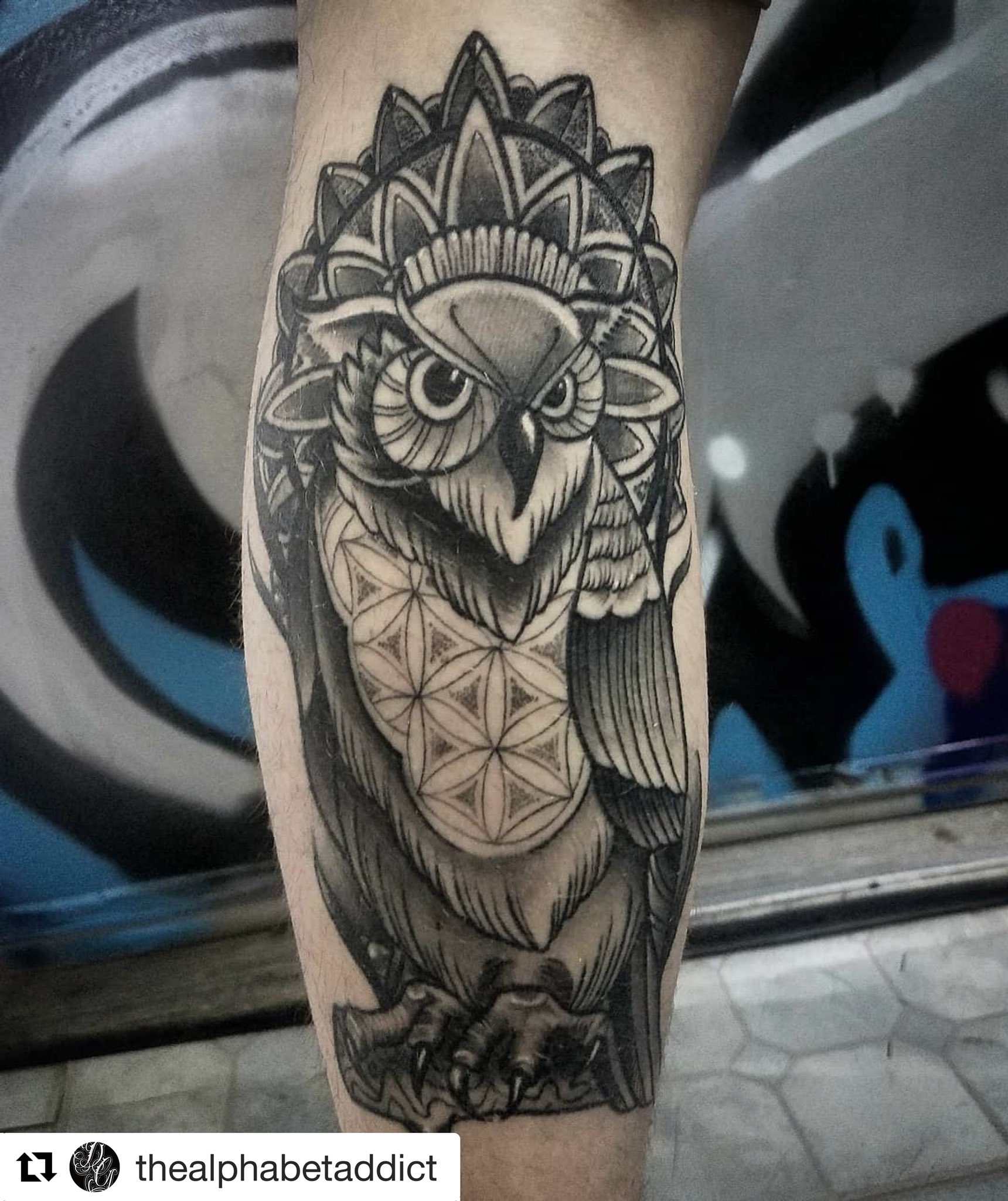 101 Best Traditional Owl Tattoo Ideas You Have To See To Believe  Outsons