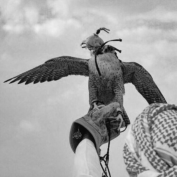 لا حـدّرت دمــعه و لا نــاح نـايــح 
لانــي بـ متضايق ولاني بـ مجروح
ㅤㅤㅤㅤㅤㅤㅤㅤ 
من جيت وادري بك مع الوقت رايح
حتى العمر وهو العمر وقت و يروح!

#👋🏻