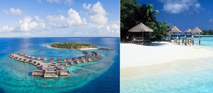 Global News tweet media