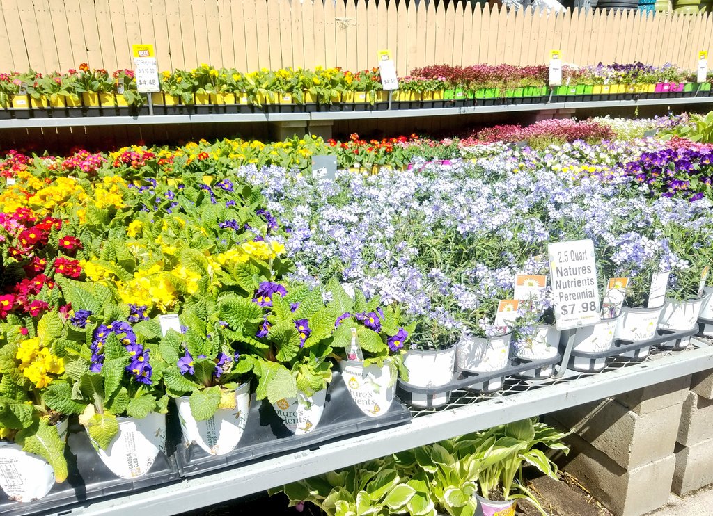 Gardening weather is here! Perennials are prepped and waiting for YOU! <a href="/homedepot/">The Home Depot</a> 906 Watchung <a href="/ChristineTHD/">Christine Sweeney</a> <a href="/nyyroro/">Ro Rodriguez</a>