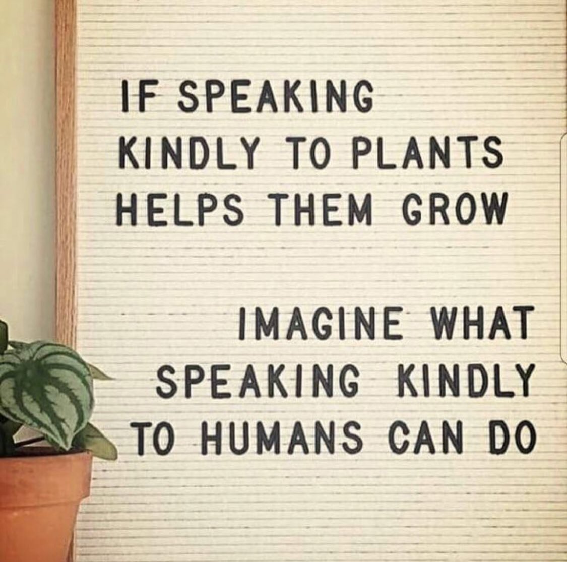 LP_MrsE's tweet image. Food for thought on this Saturday morning...