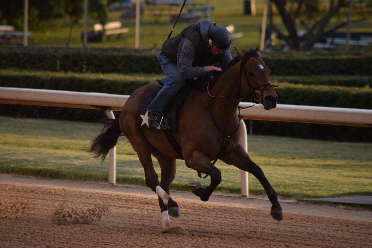 <a href="/syoung85/">scott young</a> breezing 3/2 <a href="/OaklawnRacing/">Oaklawn Hot Springs</a> winner Richie the Bull a half-mile Saturday morning at OP for <a href="/ChrisOdomRacing/">Chris Odom</a>. Pointing for the $75,000 Robert S. Molaro Handicap next Saturday at Hawthorne.