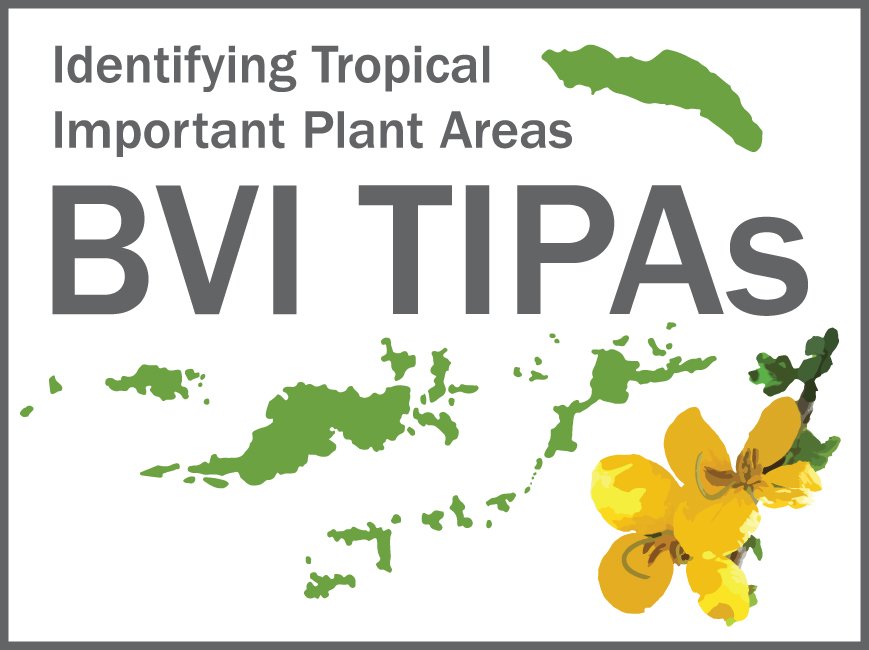 DocMartinKew's tweet photo. Check out new Twitter Moment ⚡️ “Miami area garden visits and BVI TIPAs Workshop, April 2018”
https://t.co/q2Yk3KYSgV
@KewScience @KewUKOTs #KewBVI #BVITIPAs @qcrescente @MichDSan14 @CClubbe @tomopteris @DocMartinKew https://t.co/Z2feqdYaIg