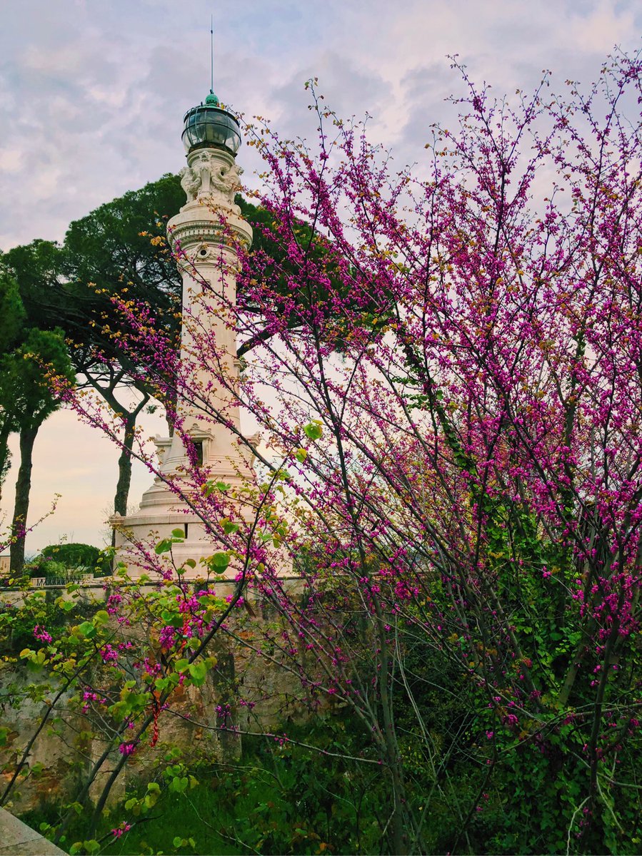 ThisMustBeTTrip's tweet photo. Spring in Rome. View of the lighthouse you can find walking from Gianicolo to S.Peter’s Church #ThisMustBeTheTrip #VisitRome #igersroma https://t.co/Kaumhf3MNz