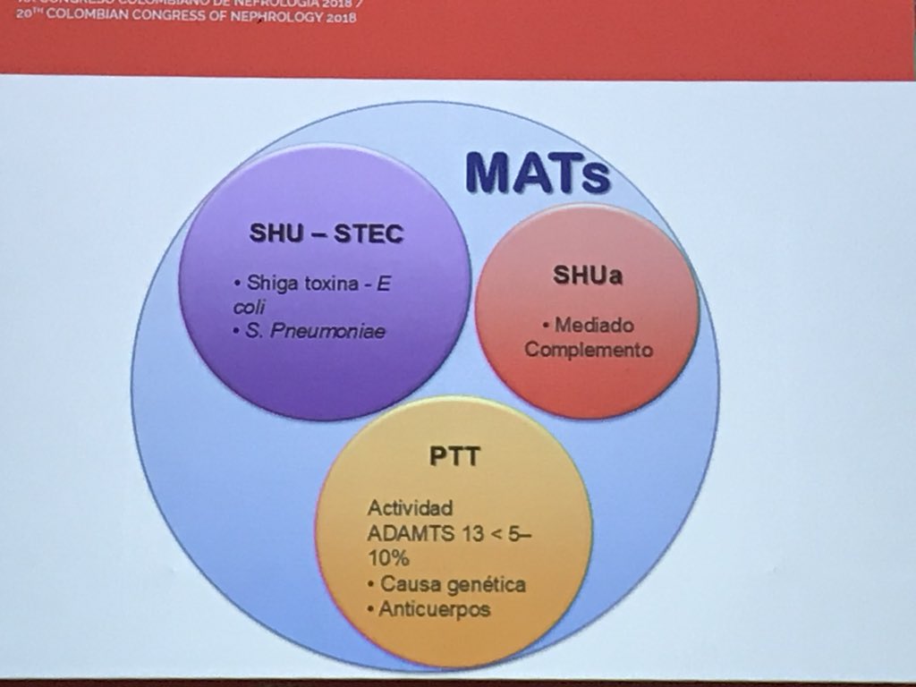 AcidosisTubular's tweet photo. “Microangiopatía trombótica MATs: la experiencia en Colombia“ Prof. Omar Cabarcas #ISHD2018 https://t.co/G5W9zqSGzT