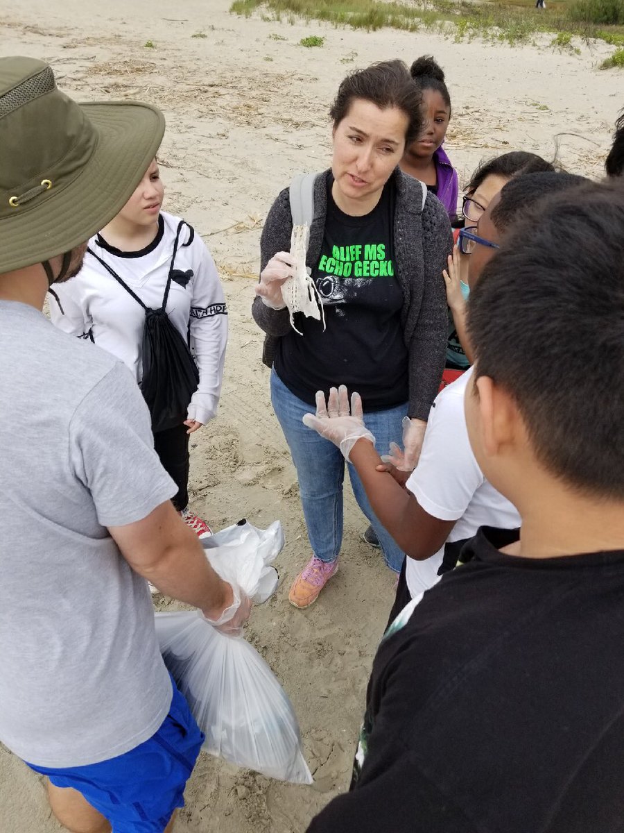 AliefMS_ASP's tweet image. ECHO and ASP helping out at Adopt-a-Beach. #communityservice @AliefISD_ASP @alief_middle