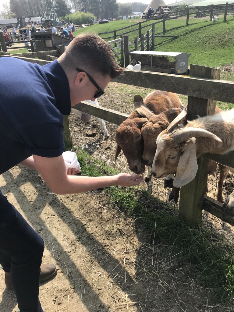 Cotswold Farm Park (CotswoldFarmPrk) Twitter