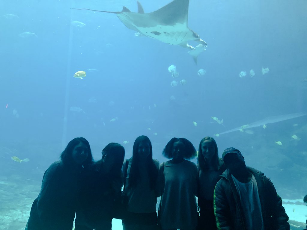 Ginger Collins tweet media