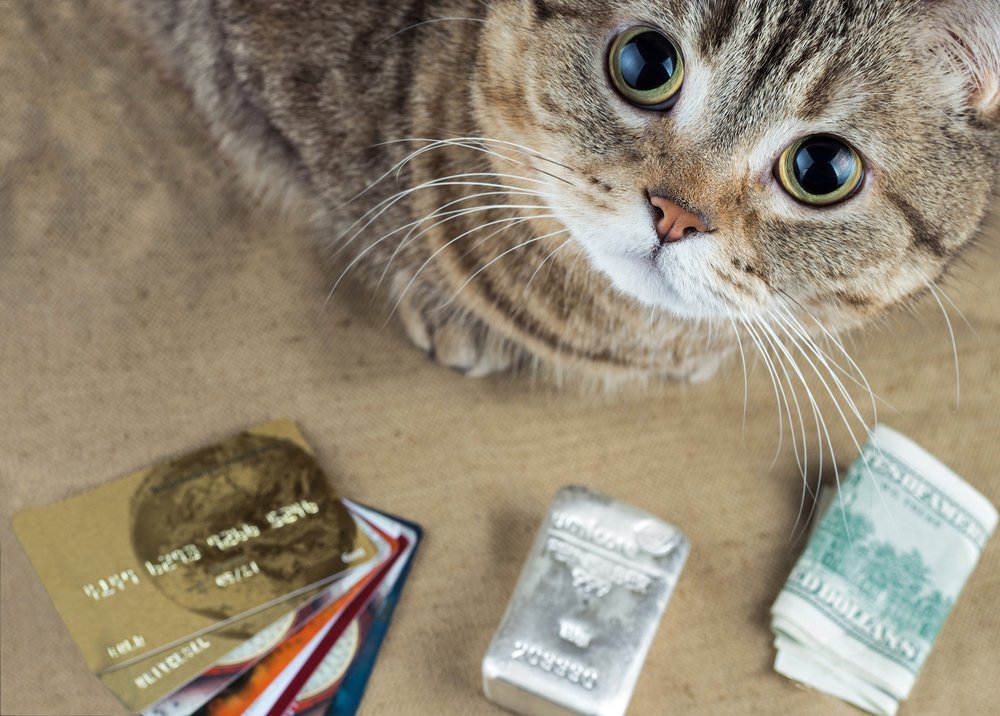 payleafllc's tweet photo. Payleaf is a tool that helps you save #nocreditcarddebt Sign up for Payleaf today and receive a $5 seed in your savings account.  No need to wait for your treat.  Go to the website, link your account, and receive your seed money today. https://t.co/L2D3R2fahr https://t.co/8ClDW5WHUG