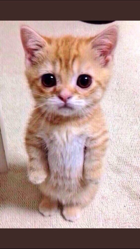 ليش الناس هاجده جذي علامكم علموني ليش الهدوء هذا ؟ 🙎🏿‍♀️🤔؟؟؟؟؟؟؟؟