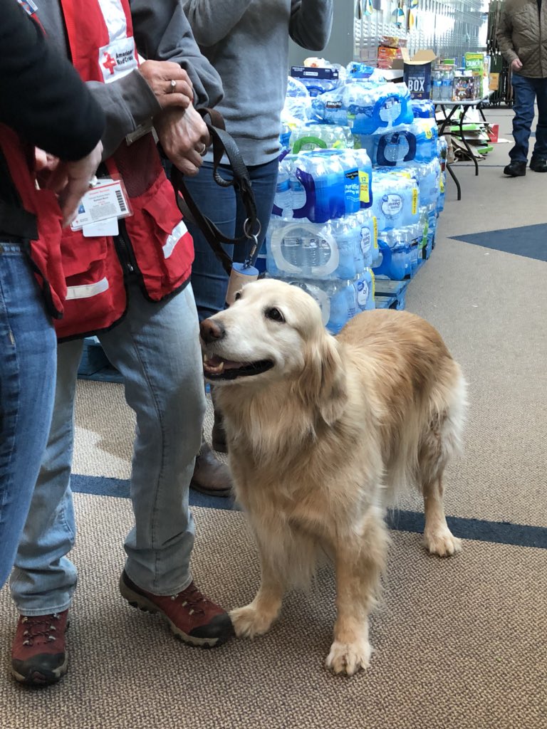 epccolorado_'s tweet photo. There are a couple “comfort dogs” at the #117Fire assistance event ... Cammy the Golden and Codi the puppy https://t.co/8F1rB3Erdg