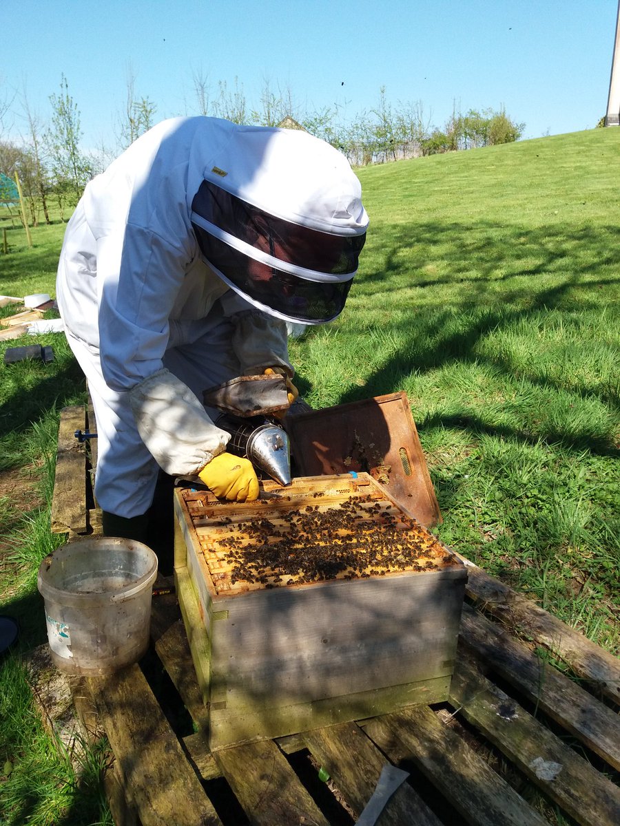 Yellow Door bee hives having the first spring examination. This one was so full it needed a super! Thanks as always for sage advice from Robert the #beewhisperer