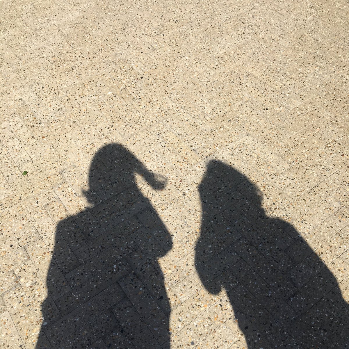 skcmalin's tweet photo. 그림자👣 https://t.co/o6AYS4Jdl3