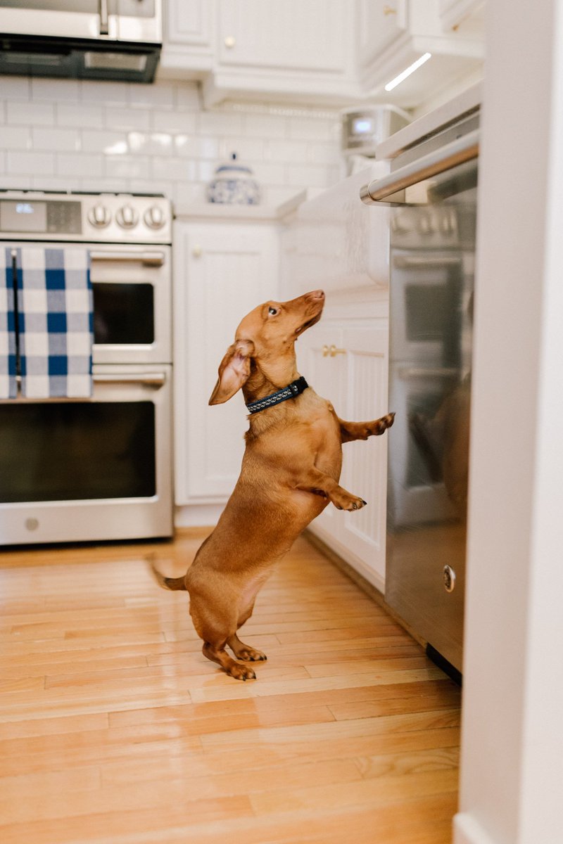This preppy kitchen makeover from Kelly in the City is stunning! 😍 #geappliances #renovation #kitchen pbxx.it/KVdAjq
