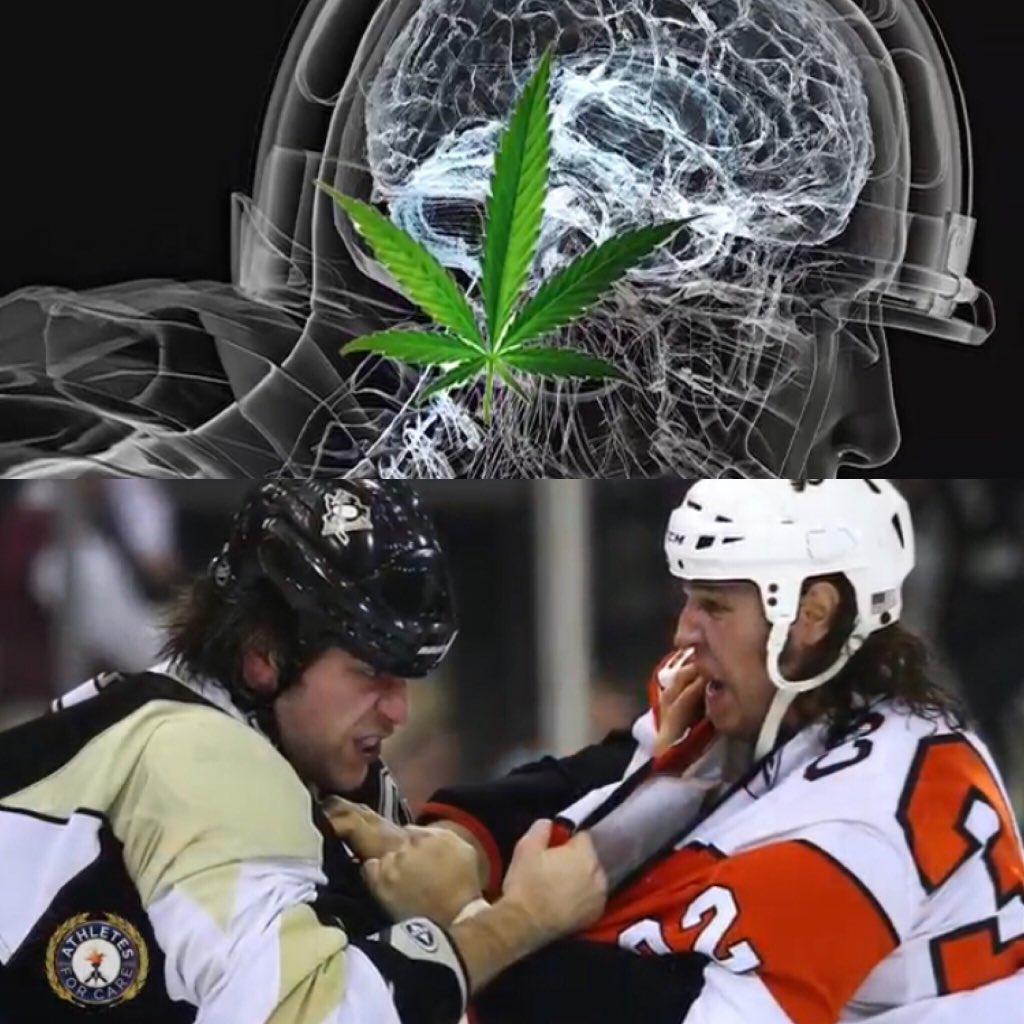 rileycote32's tweet photo. In my previous life, I was a mindless warrior. I Was so driven to live my childhood dream of playing in the NHL that I signed up to eat punches for a living, not knowing or caring about my long term health. #cannabninoids @Athletes4CARE &amp; @CannabisLearn https://t.co/ppzpKibyB6 https://t.co/wmrl9IWDfD