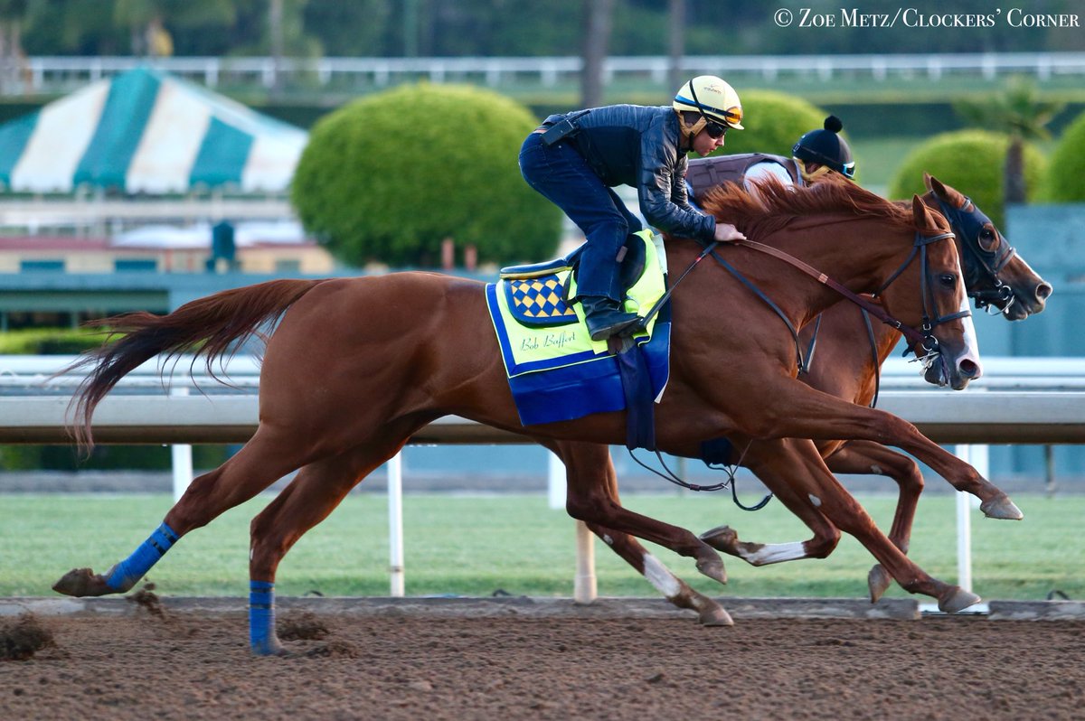 1/ST RACING tweet media