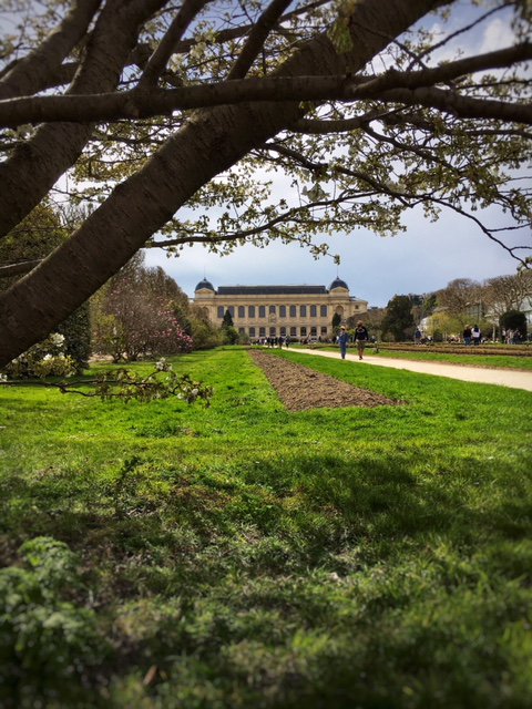 bestworldyet's tweet photo. Spring is in the air! #happysaturday #jardindesplantes https://t.co/H0rew9sm8f