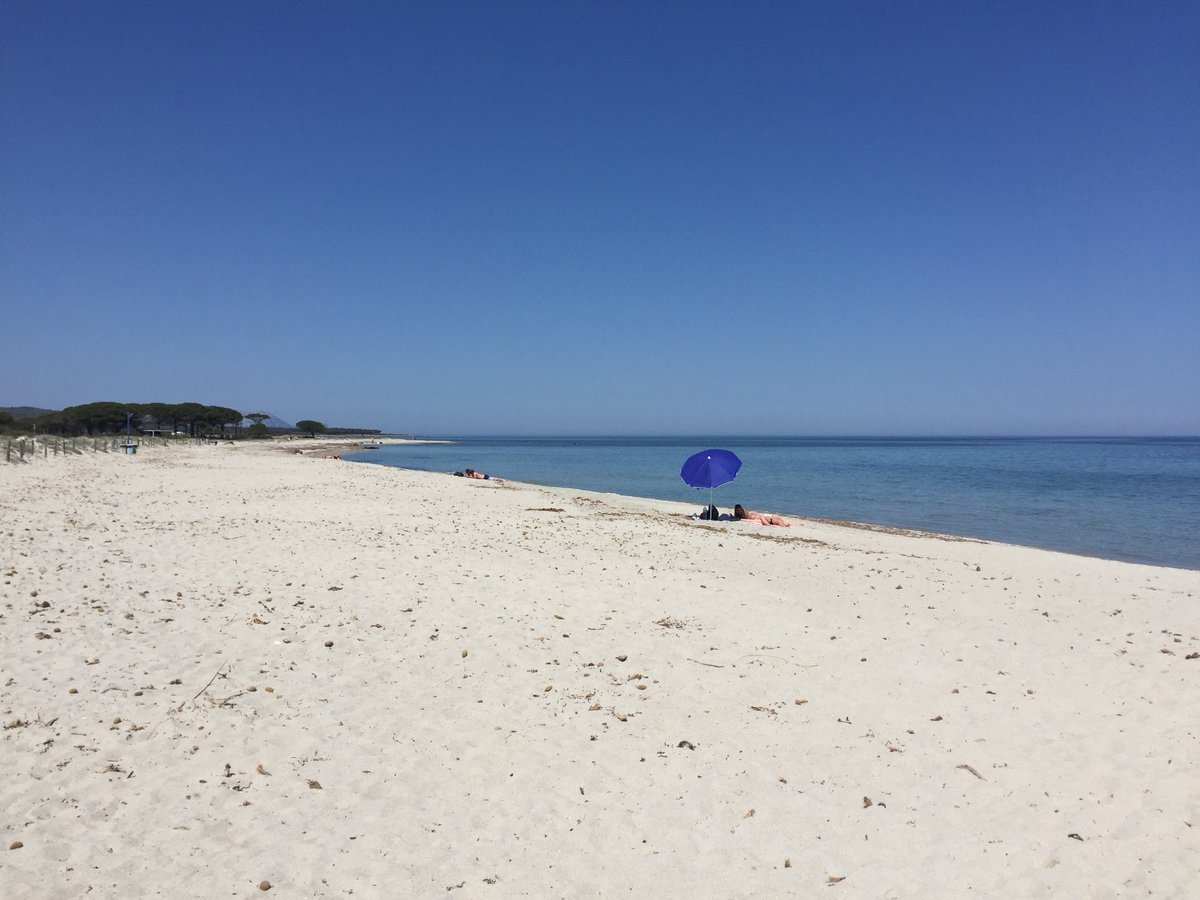 Giovanni Sedda tweet media