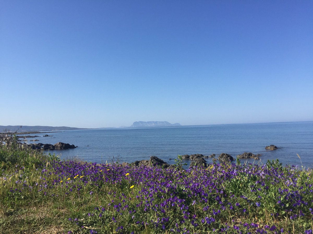 Giovanni Sedda tweet media