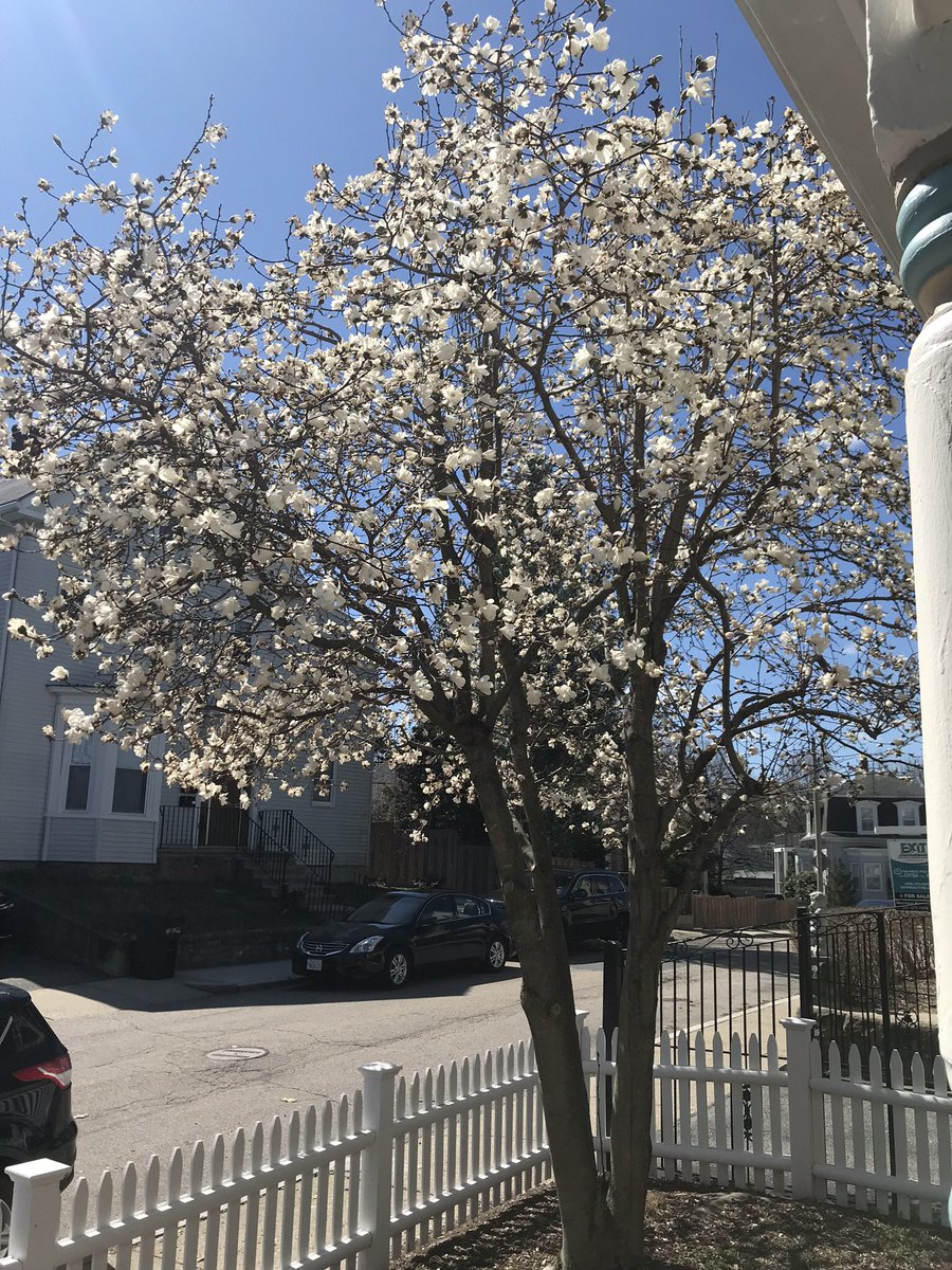 sofia_pedroso's tweet photo. It was a beautiful morning in Roslindale collecting signatures with @jtmahoney95 for @settiwarren. We talked to a lot of voters and all agreed on one thing: We gotta vote Charlie Baker out- it’s time for a new generation of leadership. #TeamSetti https://t.co/GnCBBJa3xy