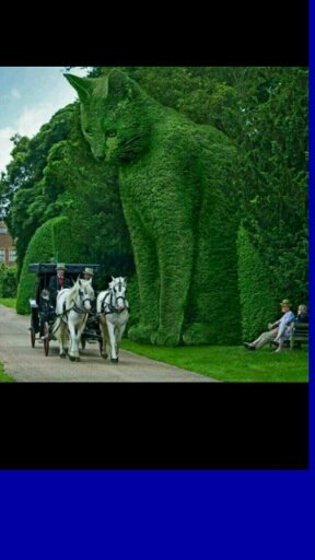 Draim Girl (@draimgirl) on Twitter photo 