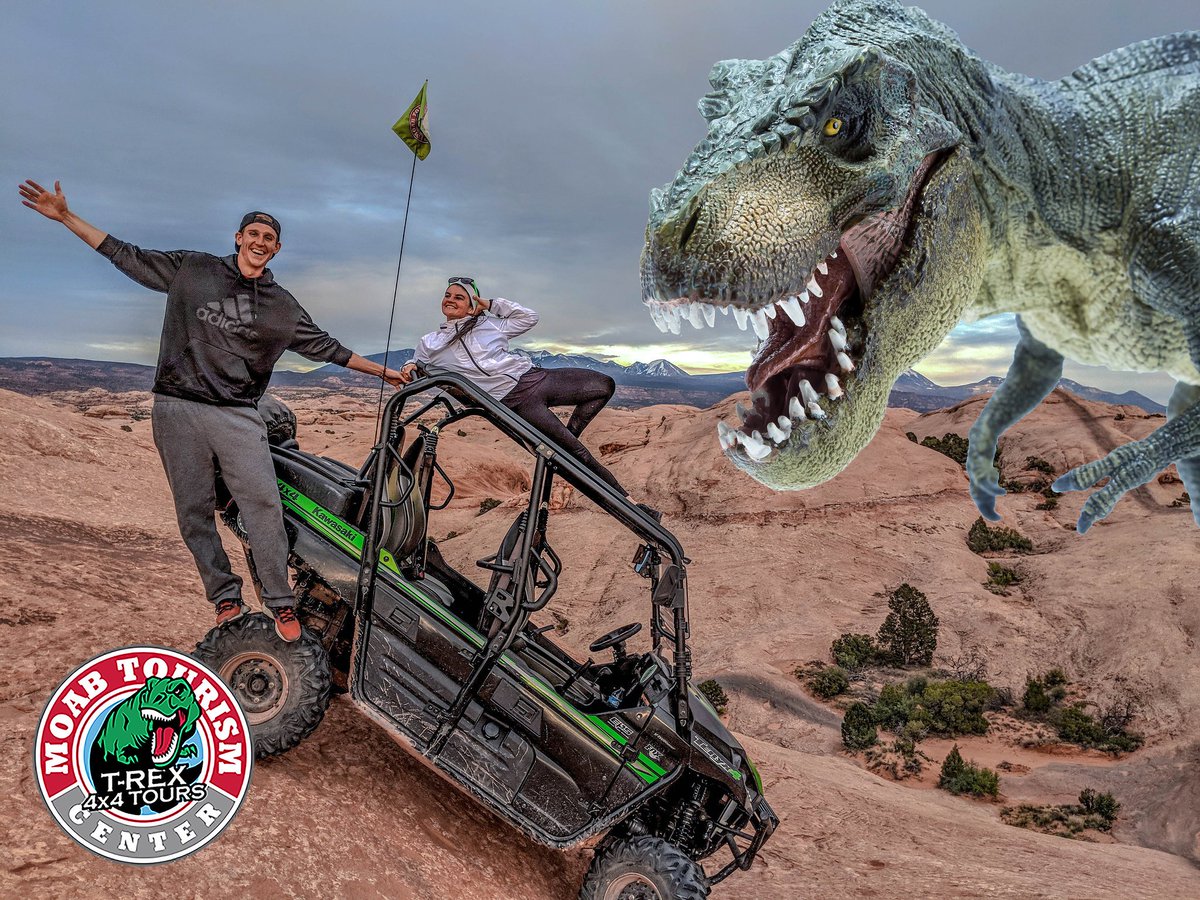 哈芝咪经济投资顾问 tweet media