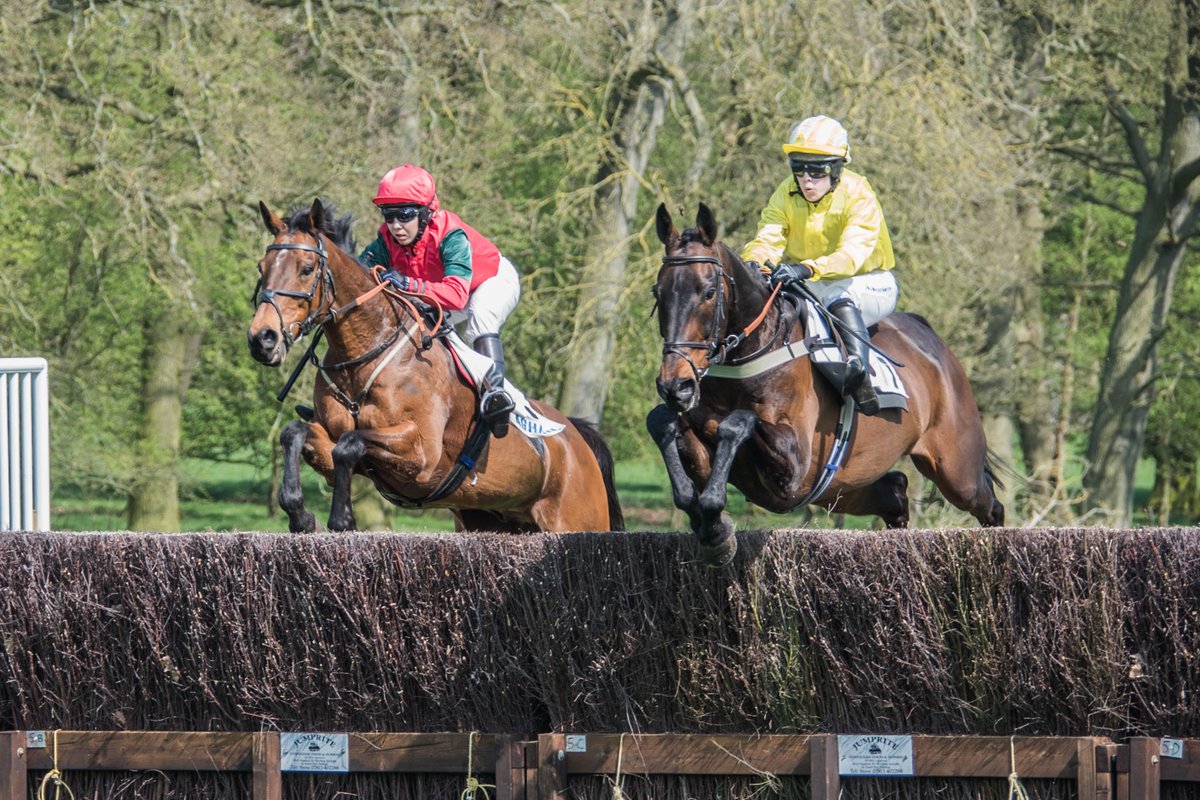 freddiethelab's tweet photo. #revesbyraces #pointtopoint https://t.co/oQxtB0B8Ye