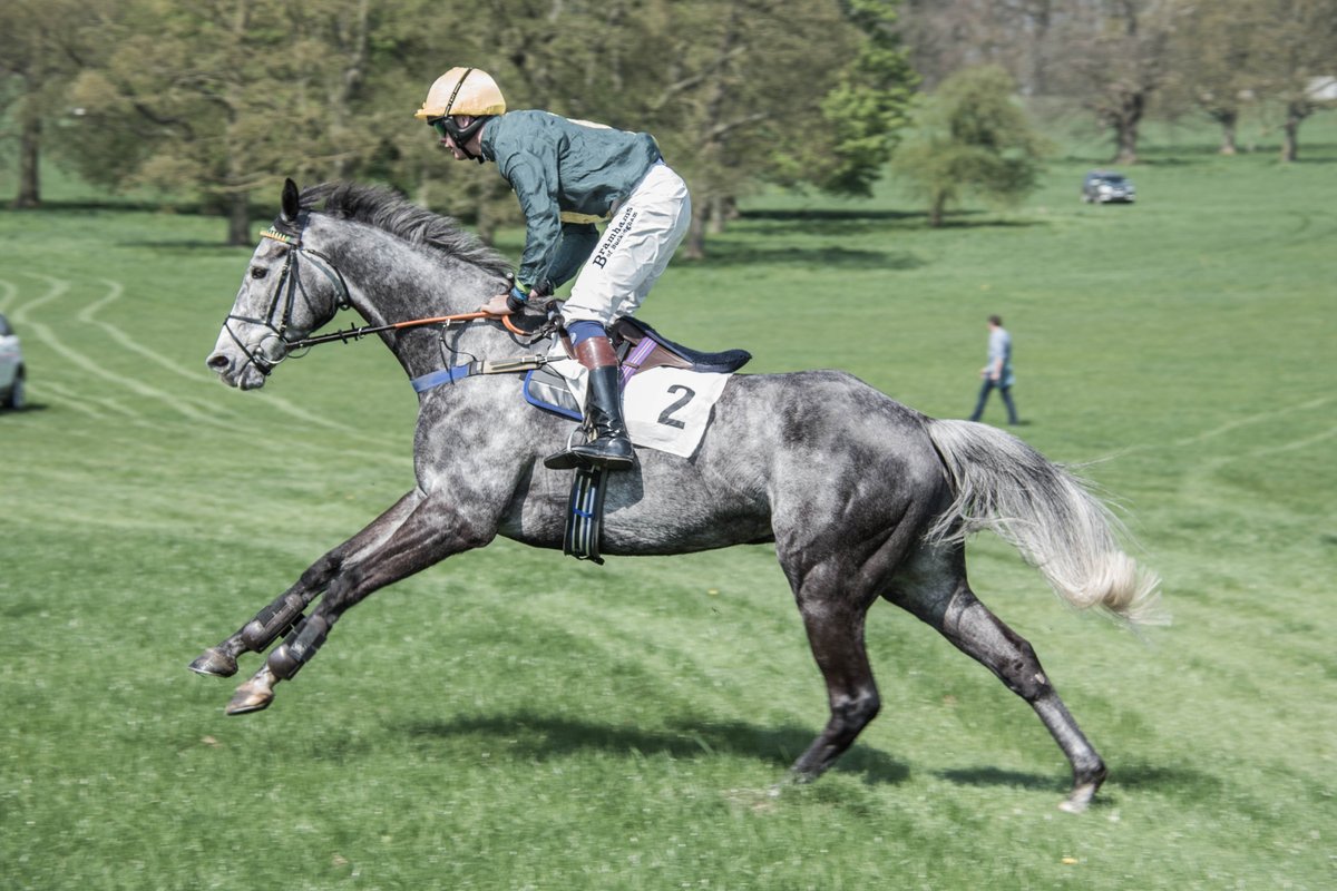 freddiethelab's tweet photo. #revesbyraces #pointtopoint https://t.co/oQxtB0B8Ye