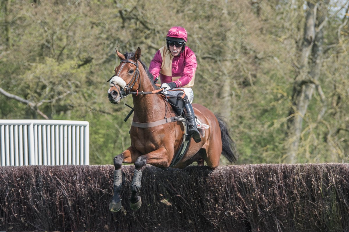 freddiethelab's tweet photo. #revesbyraces #pointtopoint https://t.co/oQxtB0B8Ye