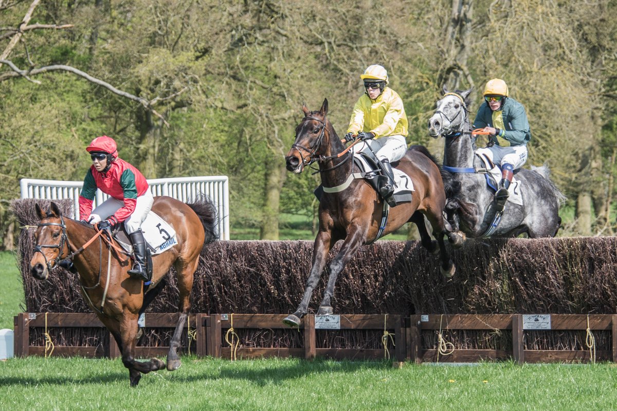freddiethelab's tweet photo. #revesbyraces #pointtopoint https://t.co/oQxtB0B8Ye
