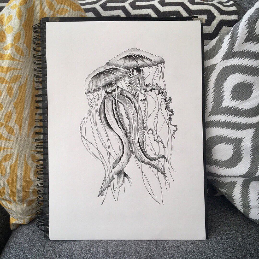 Alex_McGinn's tweet photo. Another Day, another illustration.🦑             #jellyfish #illustration #penandink #illustrator #illustrationoftheday #illustrations #jellyfishdrawing #drawinginthesun https://t.co/guLdEAhk0H